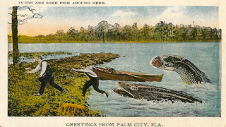 Illustration for article titled Tall Tale Fishing Postcards, The Ultimate Humblebrag Of The Early 1900s
